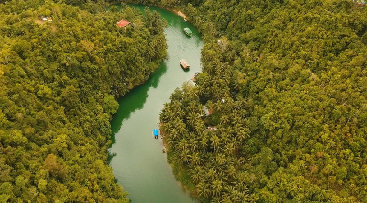 Loboc 8
